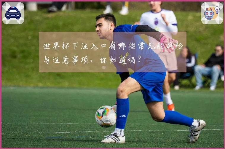 世界杯下注入口有哪些常见的风险与注意事项,你知道吗?